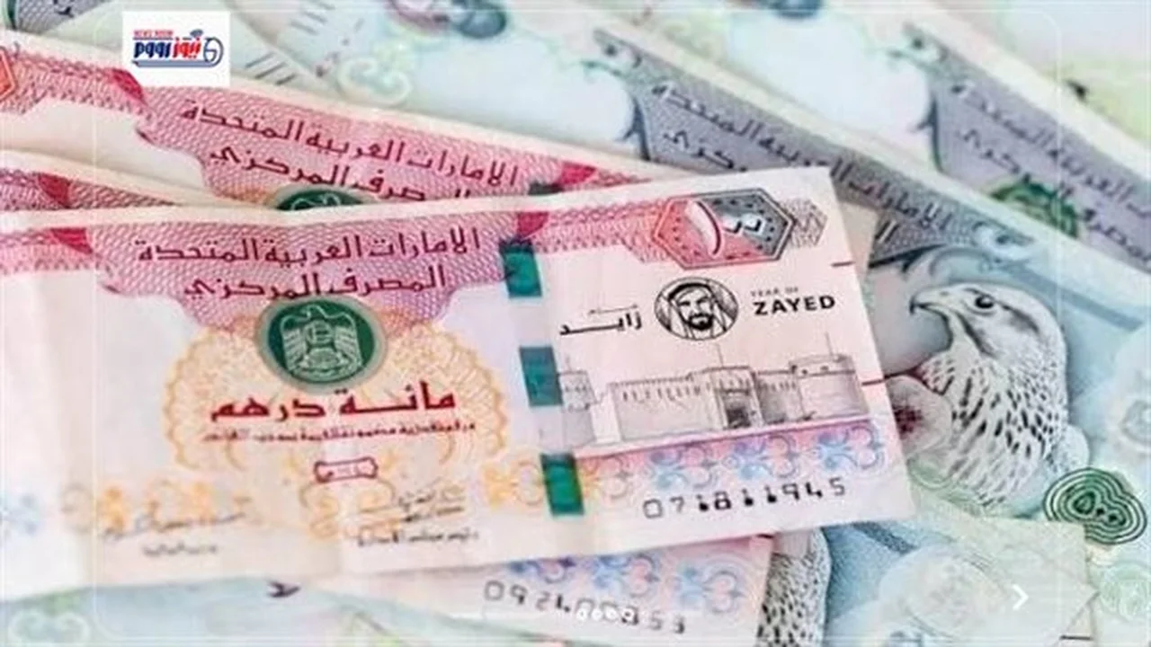 سعر صرف الدرهم الإماراتي مقابل الجنيه المصري اليوم الثلاثاء 28 يوليو